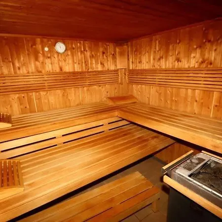 Lejlighed Penthouse Paradise With Indoor Swimming Pool Château-d'Oex